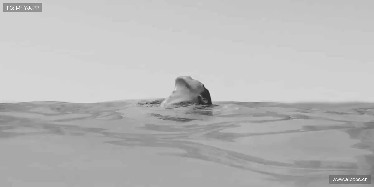 🌍全球赛事，与你同频心跳！🌟